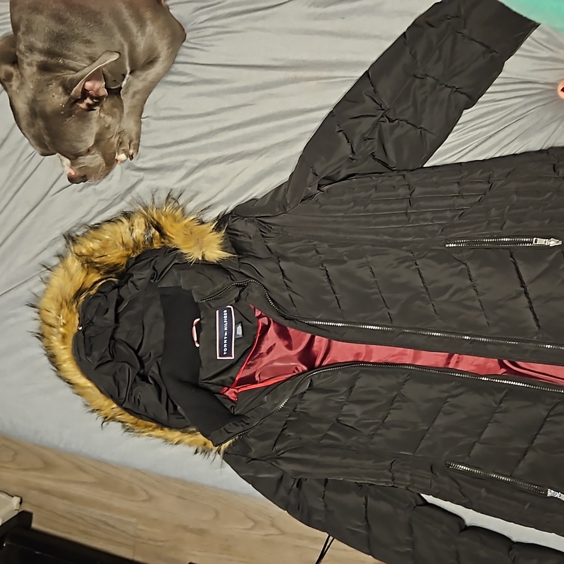 Brand New Tommy Hilfiger Coat